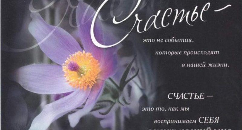 Деньги есть, счастья нет