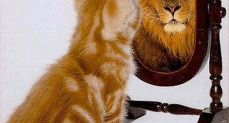 Психологическая незрелость. Сколько вам лет на самом деле?